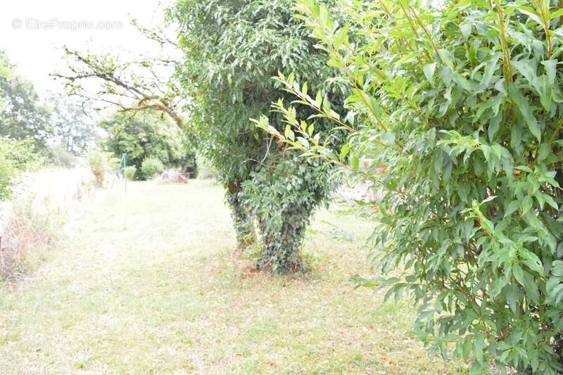 Appartement à AUNAY-EN-BAZOIS