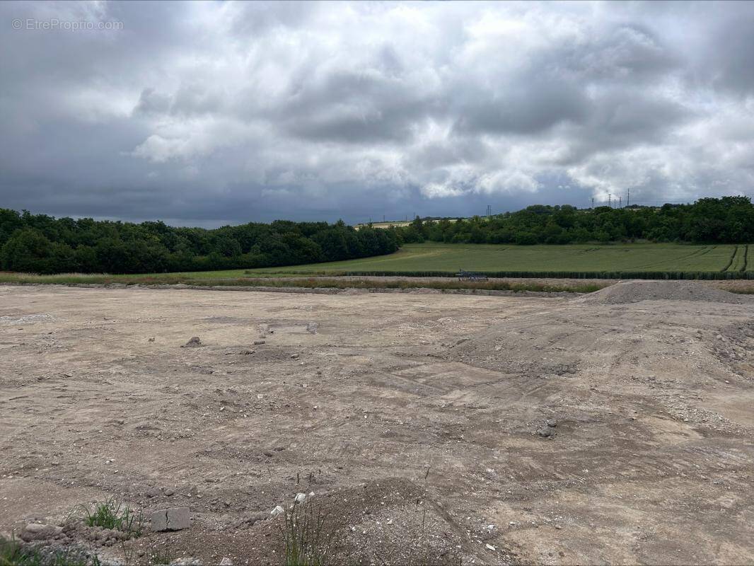 Terrain à WITRY-LES-REIMS