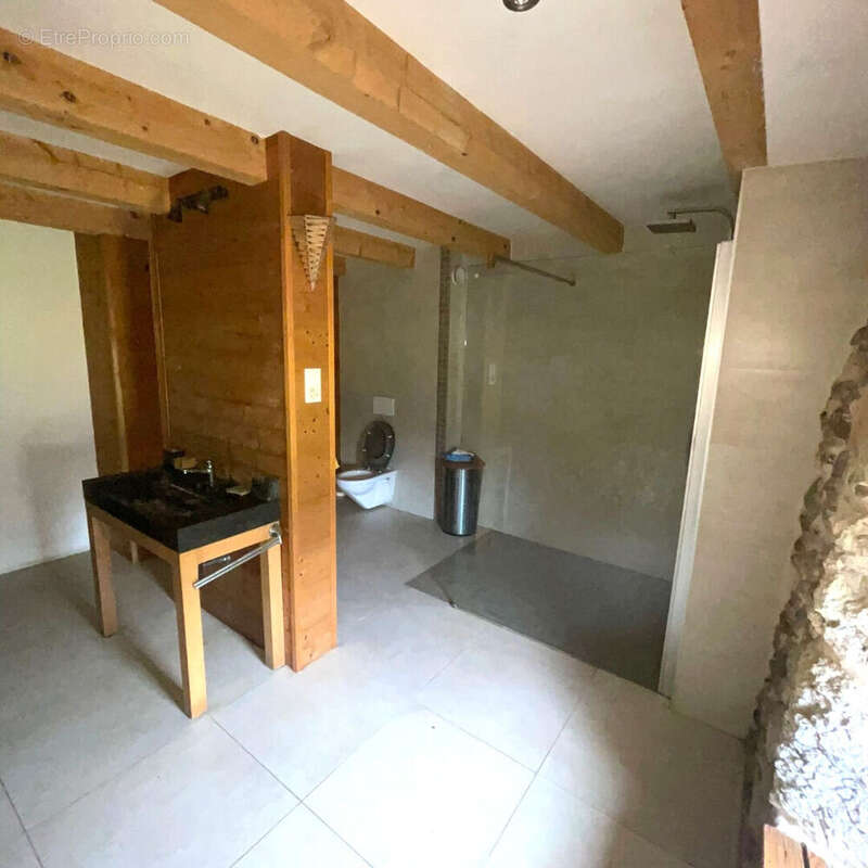 Maison à MENTHONNEX-EN-BORNES