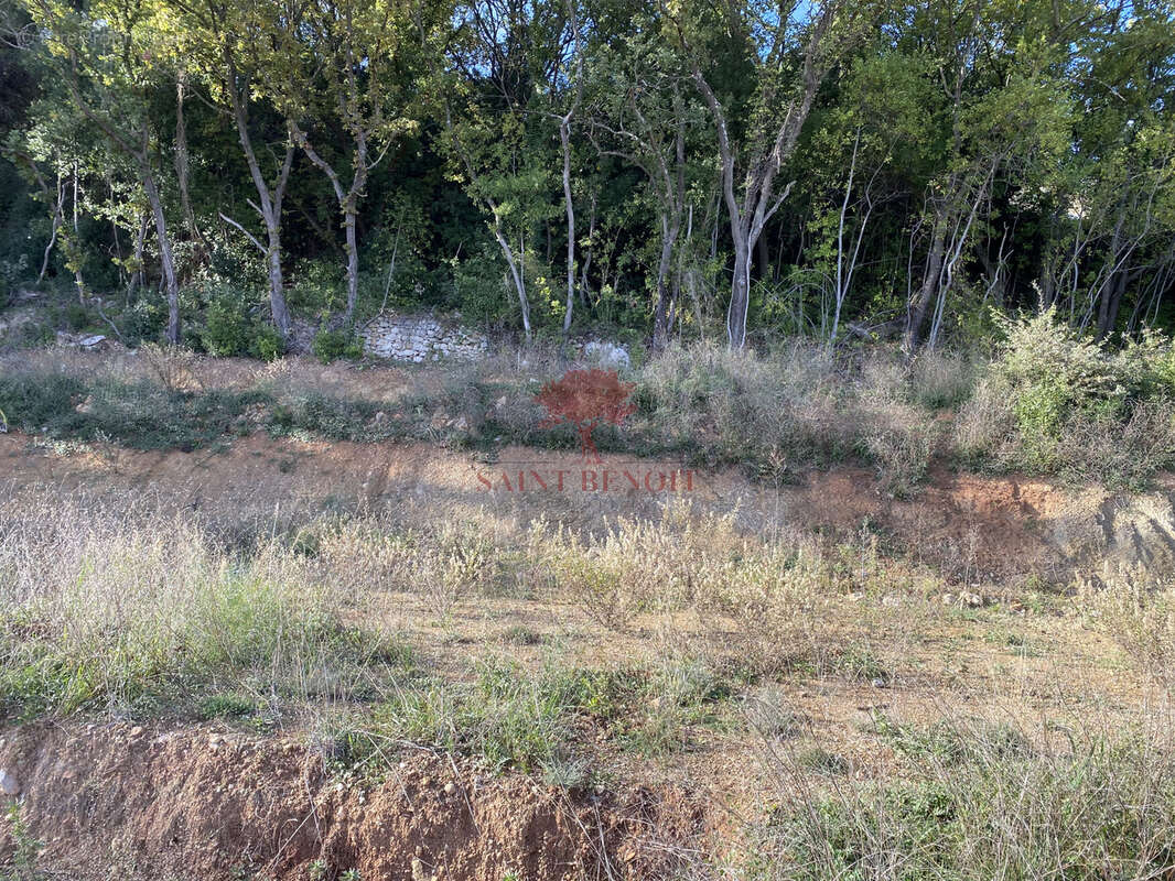 Terrain à CLERMONT-L'HERAULT
