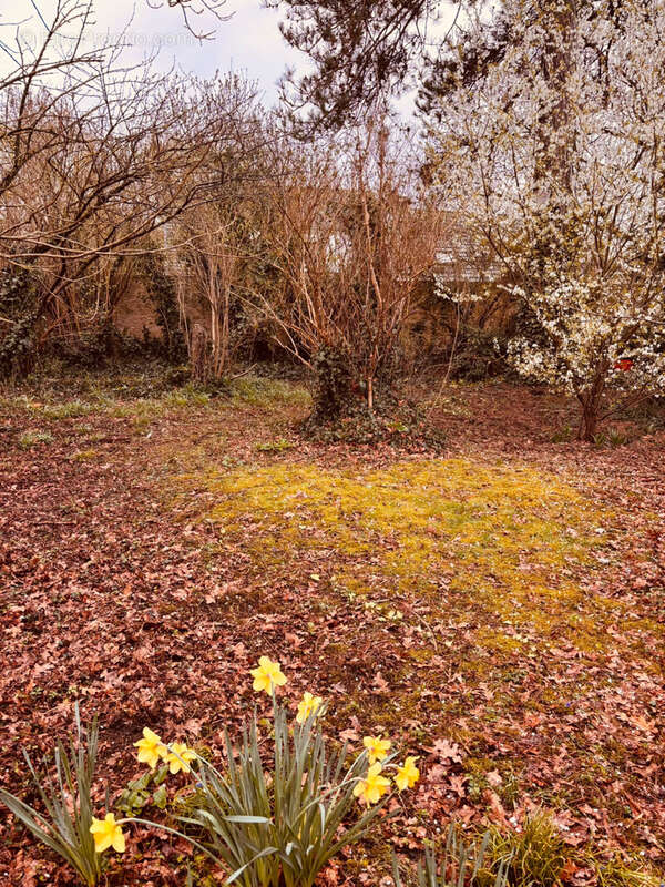 Terrain à JONCHERY-SUR-VESLE