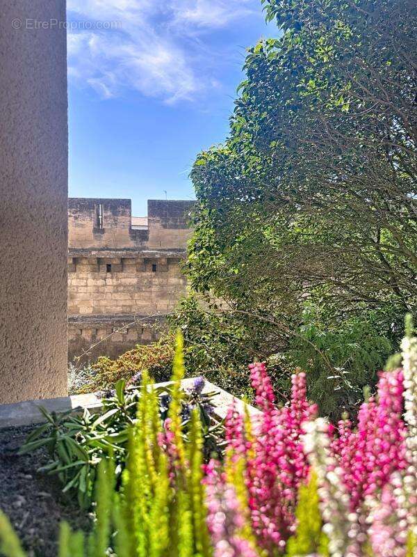 Appartement à AVIGNON