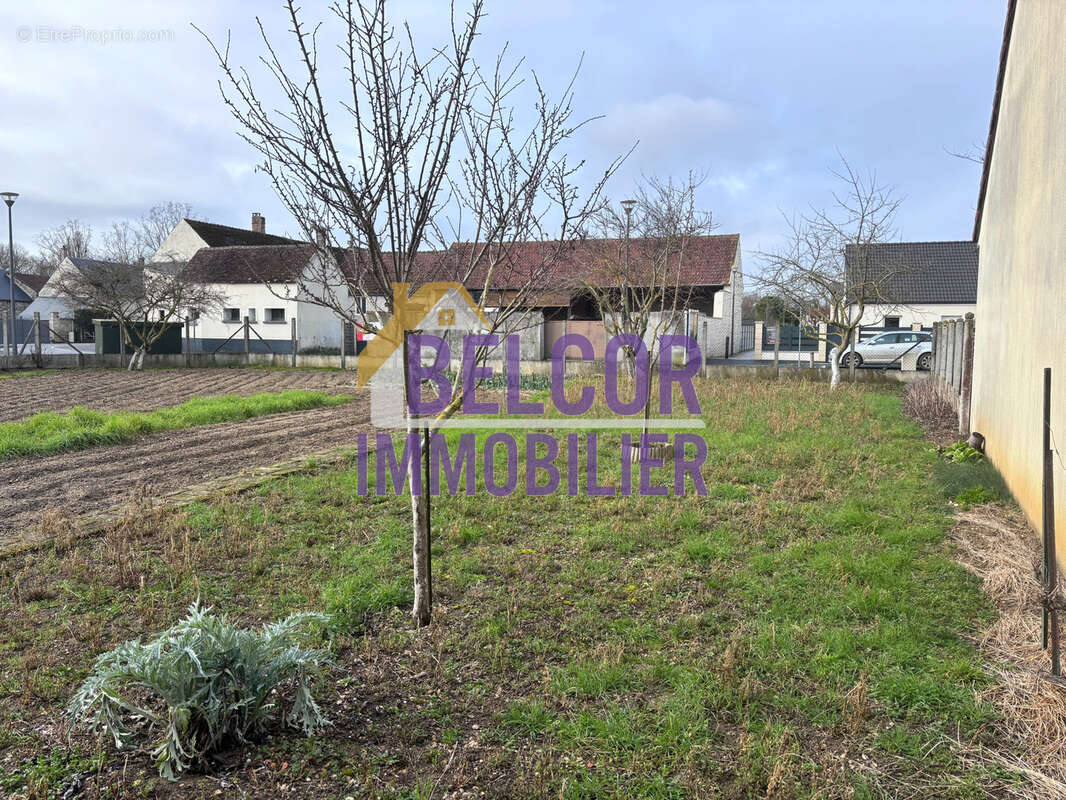 Terrain à BEAUMONT-DU-GATINAIS