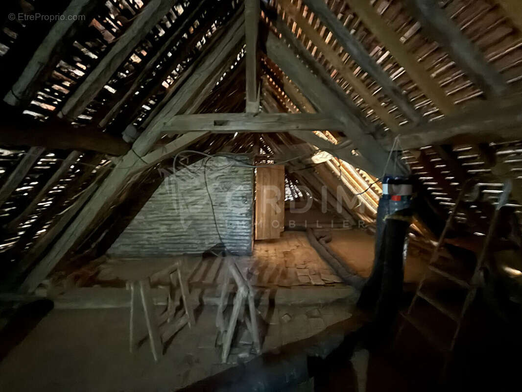 Maison à SAINT-SAUVEUR-EN-PUISAYE