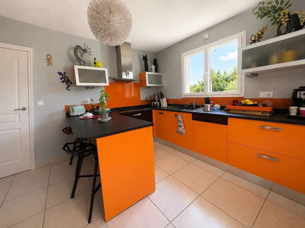 La salvetat-saint-gilles maison t6 - photo 3