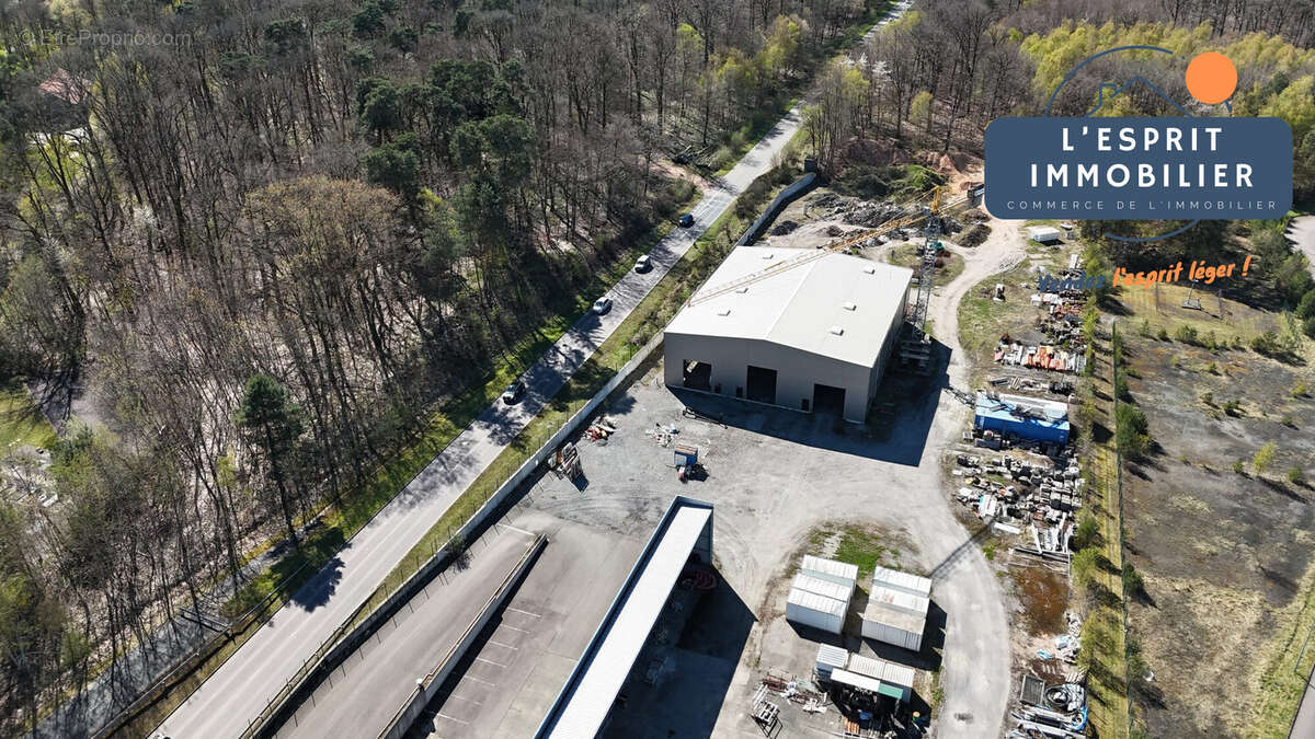 Commerce à SAINT-AVOLD