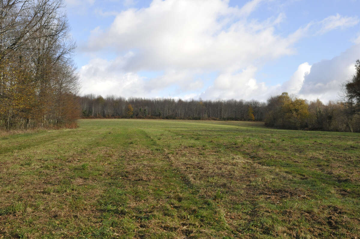 Terrain à VICQ-SUR-BREUILH