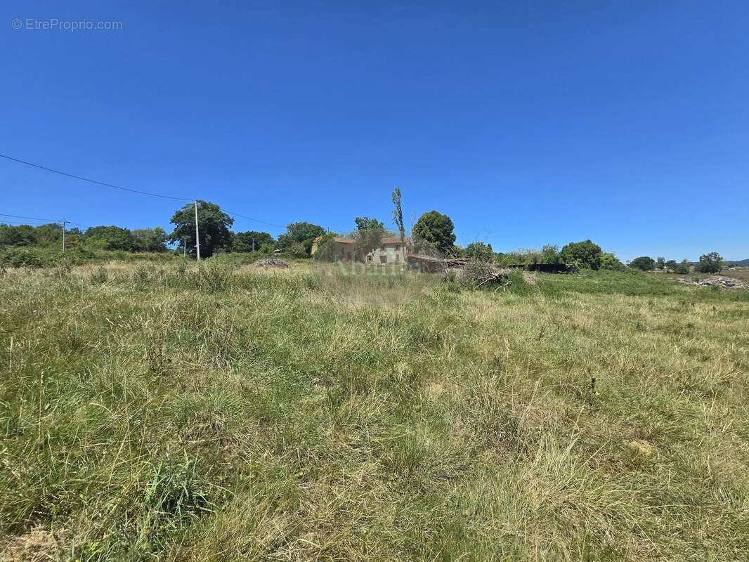 Ferme sur 3 Ha - photo 13