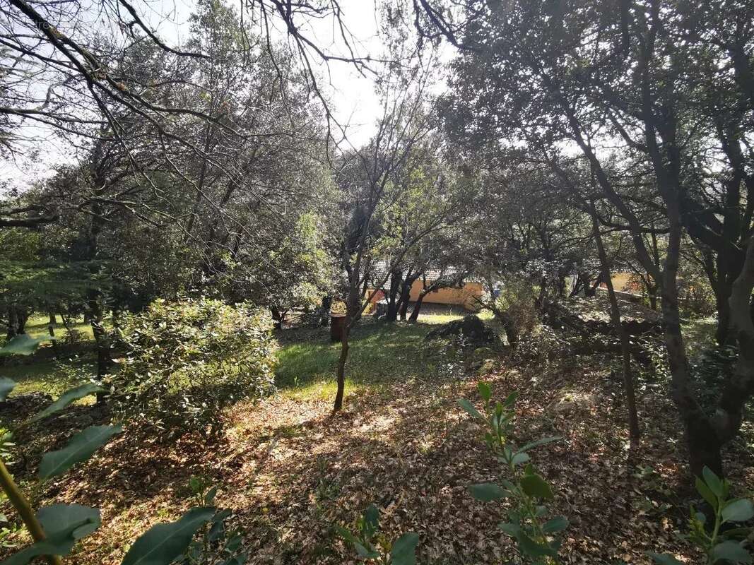 Maison à MALATAVERNE