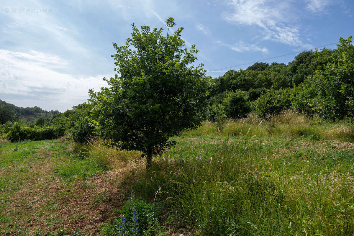 Terrain à COMMERCY