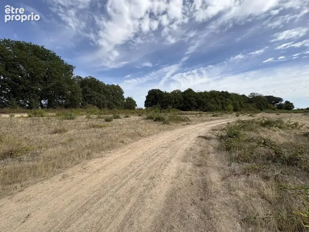 Terrain agricole - photo 7