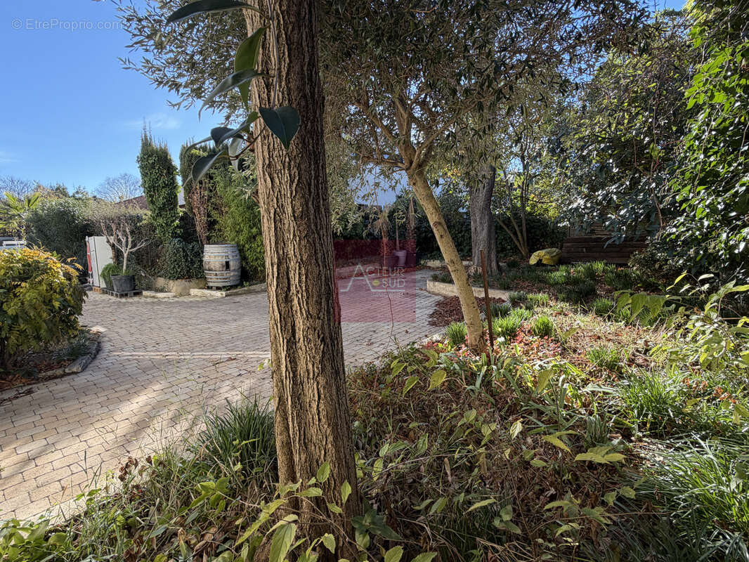 Maison à MONTPELLIER