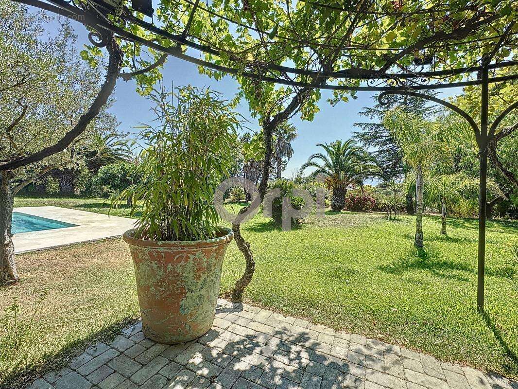 Propriété de Prestige avec Piscine spa et Terrain de tennis à Roquebrune-sur-Argens - photo 23