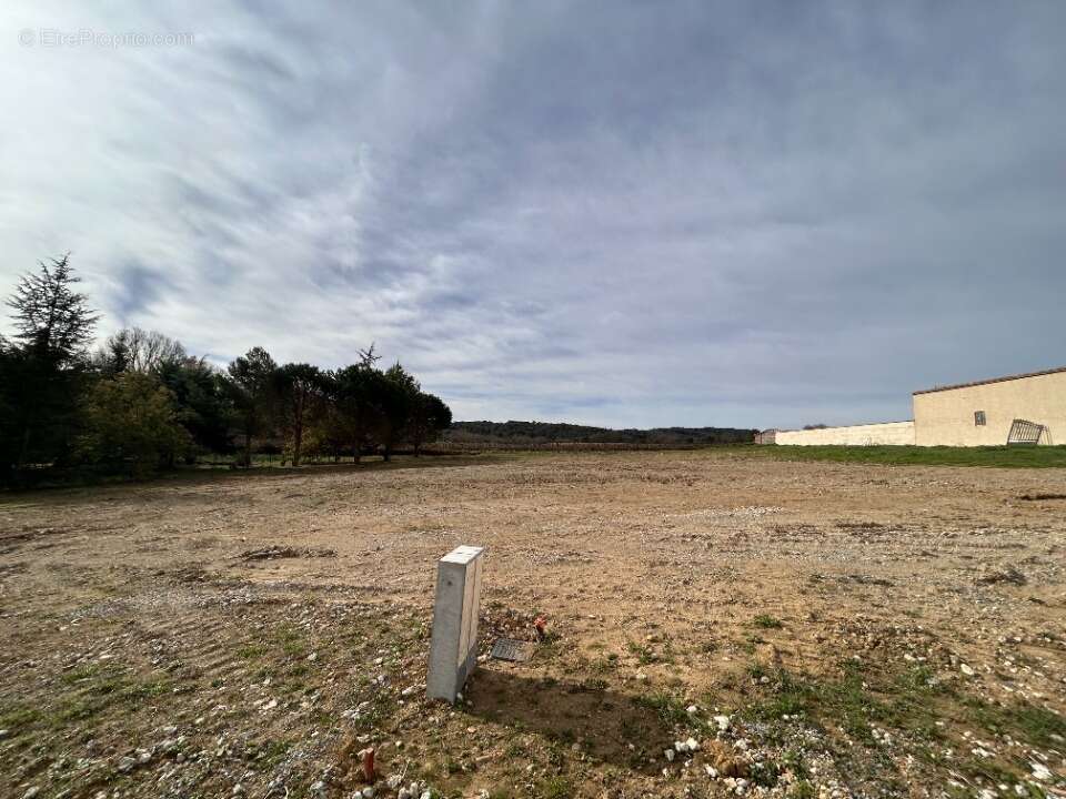 Terrain à ALAIRAC