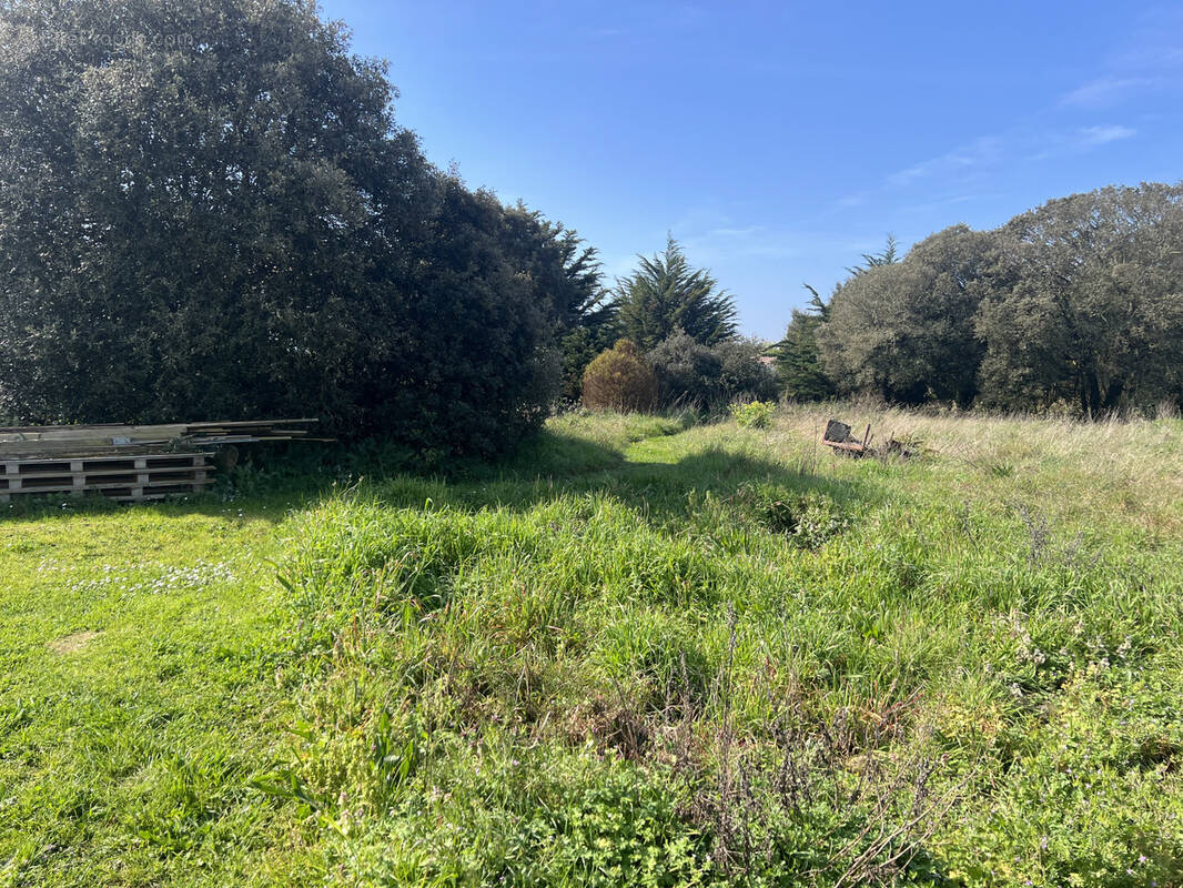 Terrain à L'ILE-D'YEU