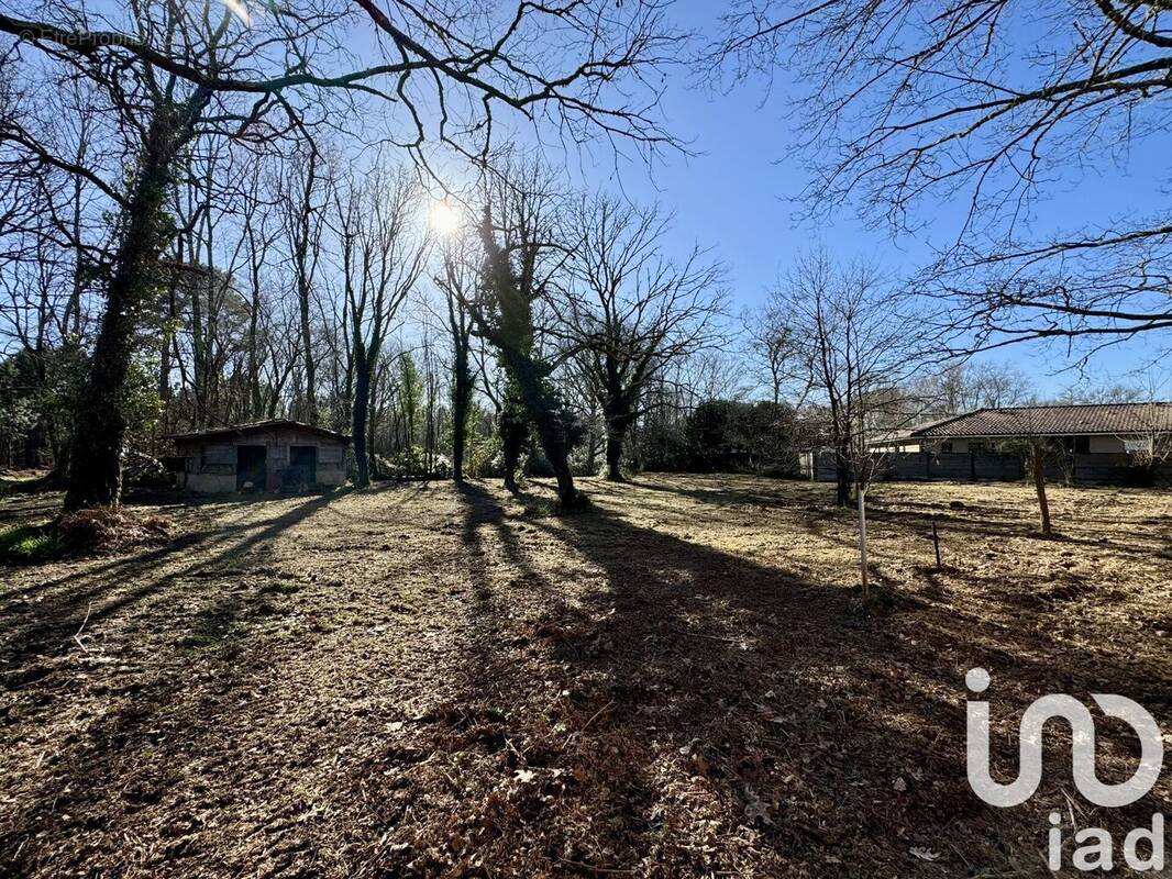 Photo 1 - Terrain à MIOS