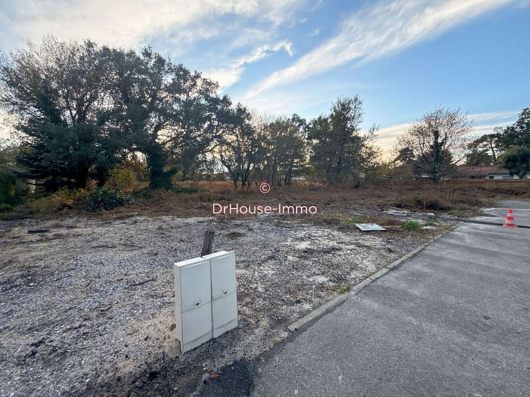 Terrain à MESSANGES