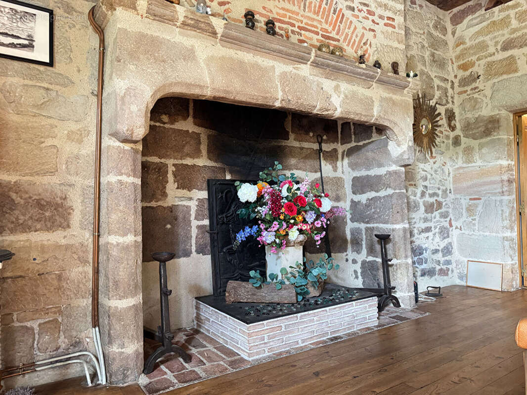 Hôtel particulier - photo 4