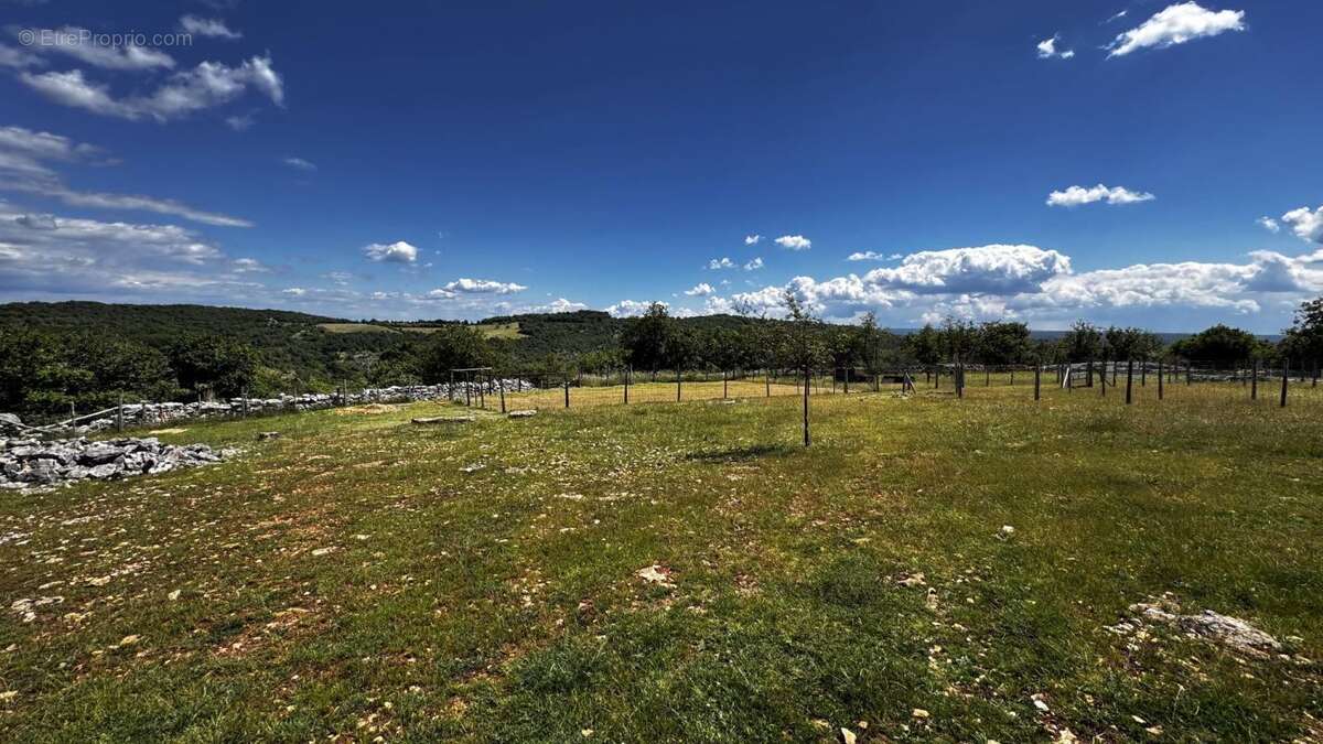 Terrain à SAINT-CHELS