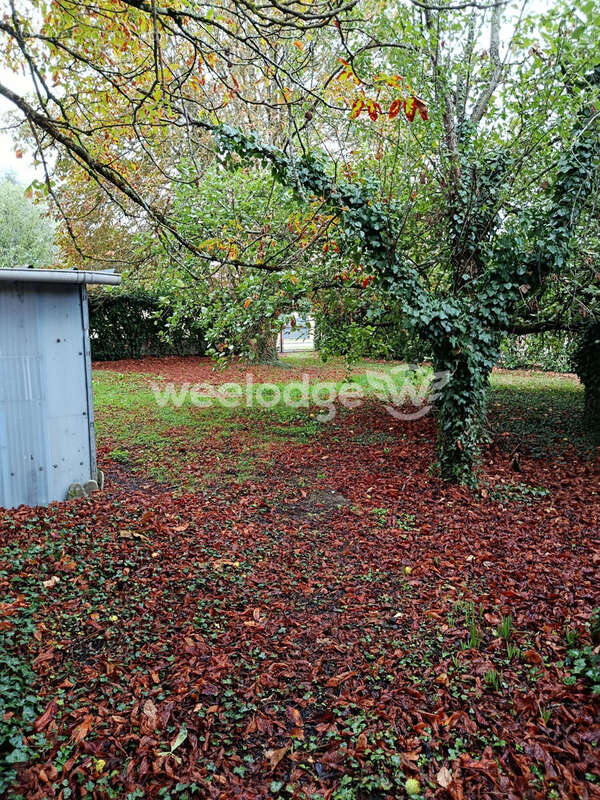 Commerce à LA PEROUILLE