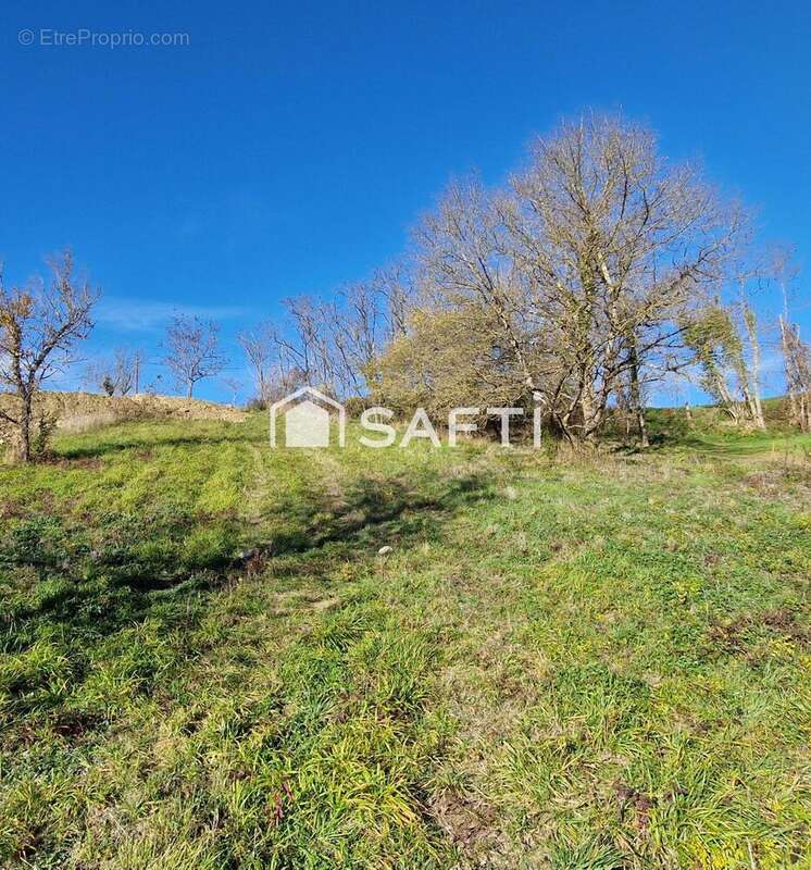Terrain 1564 m² à Clermont-Le-Fort  - photo 2