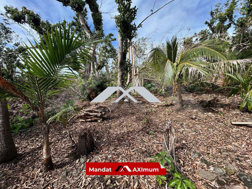 Terrain à SAINT-BENOIT