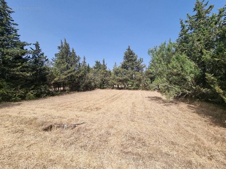 Terrain 505 m² à Grillon  - photo 1