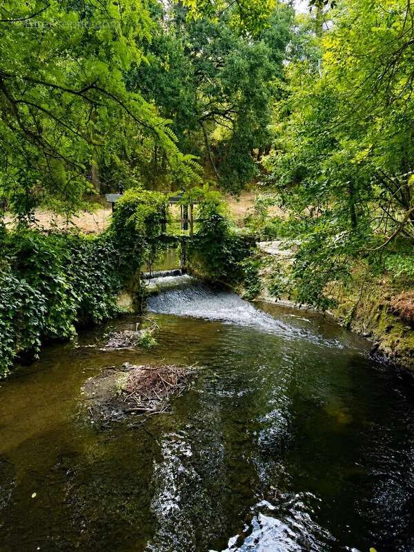 À 1h de paris - maison de charme - ancien moulin - 165 m² + combles - terrain de 6 000 m² - dépendances - rivière - photo 10