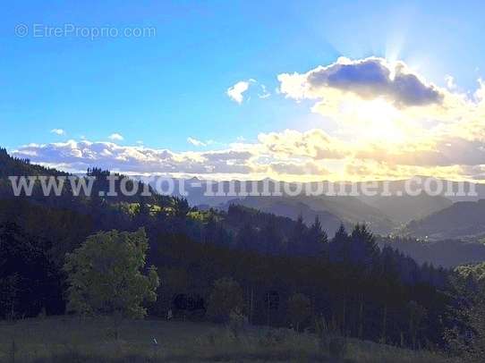 Terrain à LE CHEYLARD