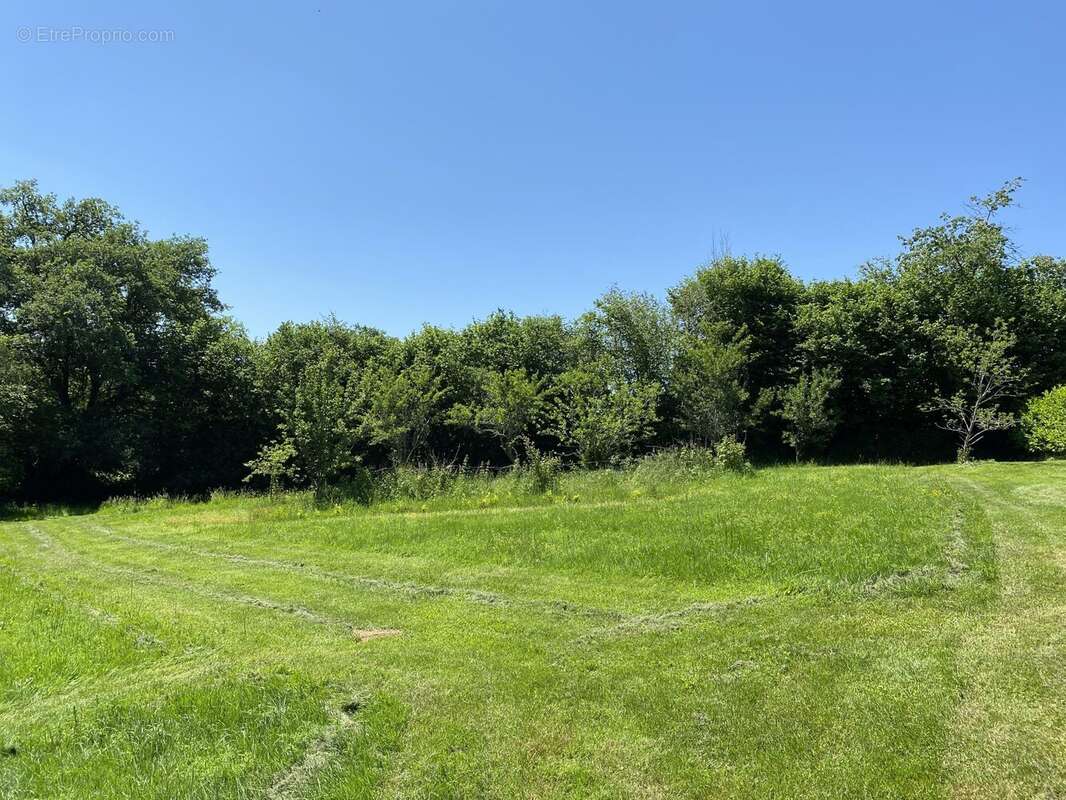 Maison 140 m² à Saint-Vitte-Sur-Briance  - photo 8