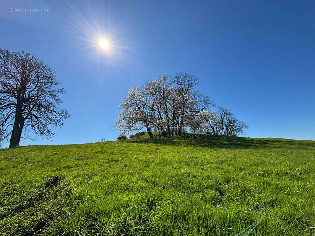 Maison à SAINT-MARTIN-D'ESTREAUX