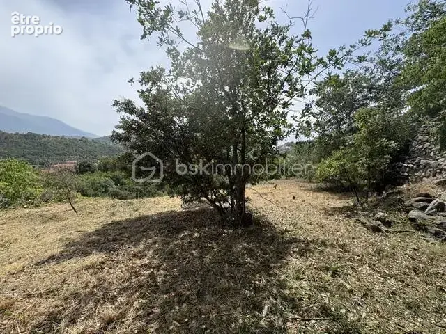 Terrain de 4495 m2 - photo 2