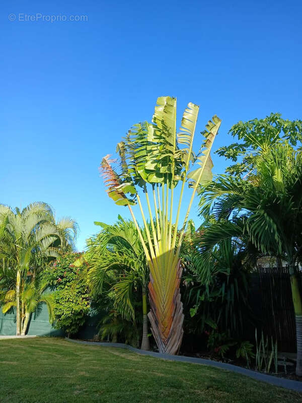 Maison à PORT-LOUIS