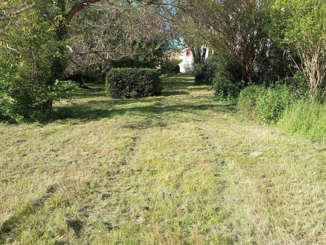 Photo 1 - Maison à CAPTIEUX