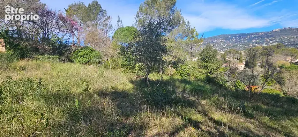Terrain à PEYMEINADE