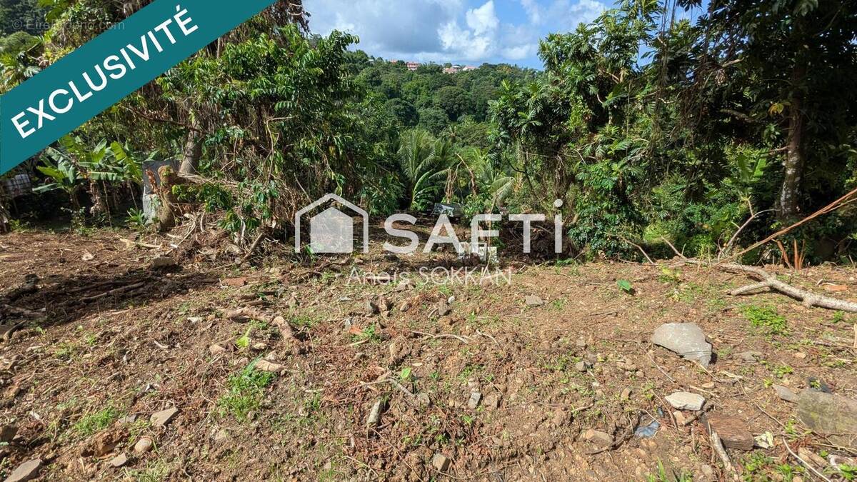 Photo 1 - Terrain à RIVIERE-SALEE