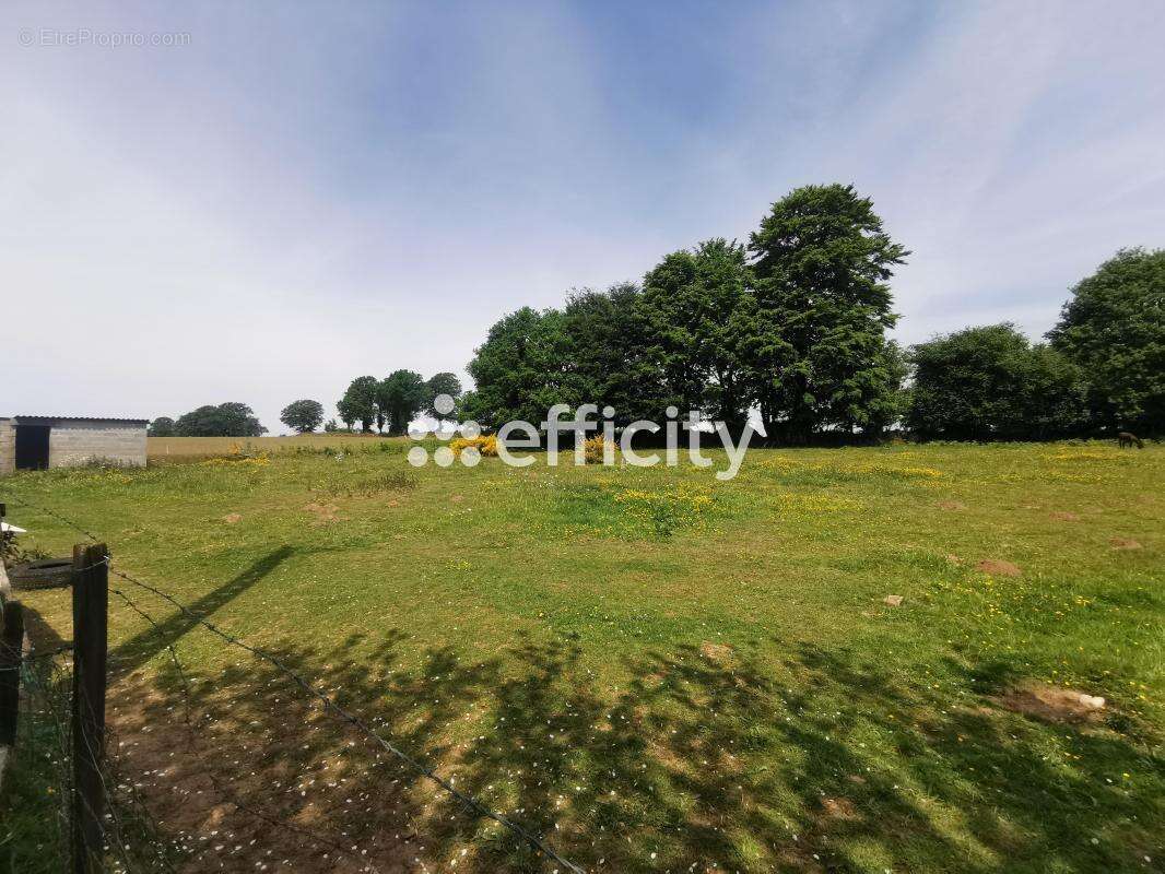 Maison à SAINT-SEVER-CALVADOS