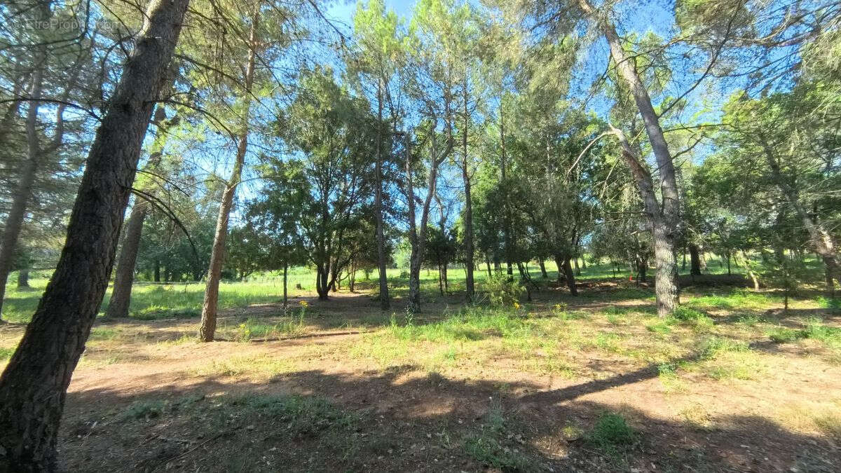 Terrain à SILLANS-LA-CASCADE