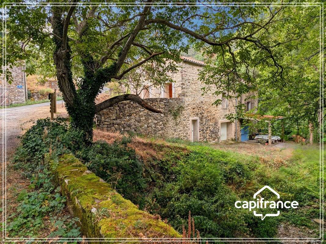 Ancien moulin en pierre rénové – Charme, confort et nature au cœur du Haut-Languedoc - photo 5