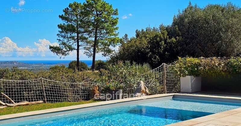 Maison à PORTO-VECCHIO