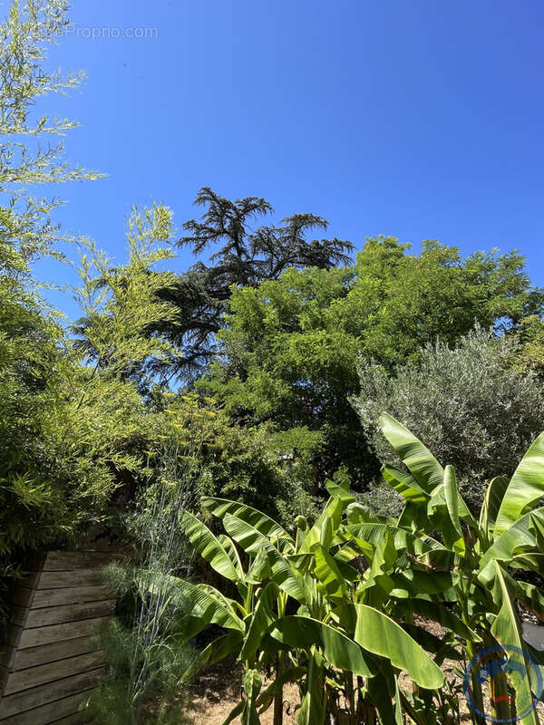 Appartement de charme avec jardin - photo 15