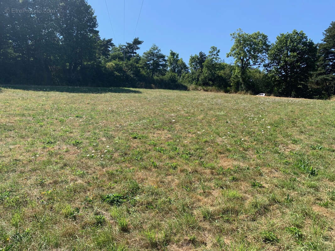 EXCLUSIVITÉ GTI IMMOBILIER, Parcelle de terrain constructible. - photo 3