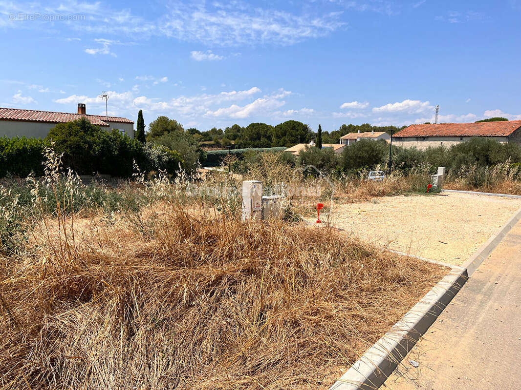 Terrain Mus 251 m2 - photo 3