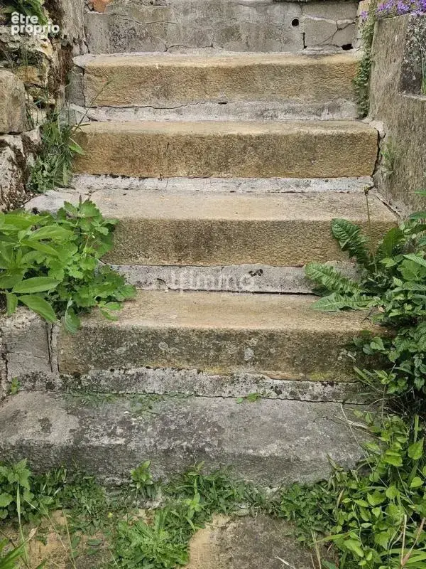 Moisenay, entre nature préservée et charme authentique - photo 4