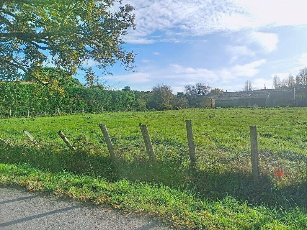 Terrain à SAUJON