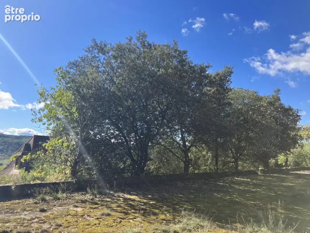 Terrain constructible de 7723m2 avec vue sur la Dordogne à Castels-et-Bézenac - photo 6