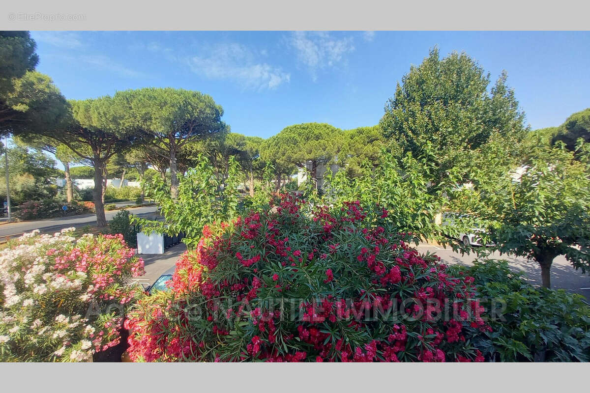 Appartement à LA GRANDE-MOTTE