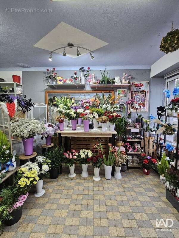 Photo 2 - Commerce à REHON