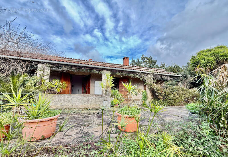 SAGONE (Corse) : Propriete à vendre, maison T4 + dépendance avec 2 appartements T1, sur terrain plat de 5000m2 - photo 4