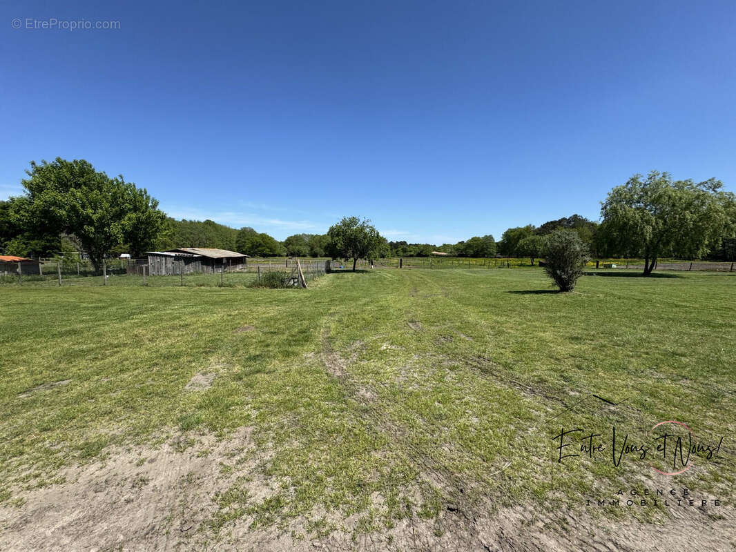 EXTÉRIEUR  - Maison à BAZAS